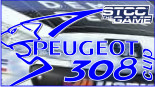 Peugeot 308 Cup